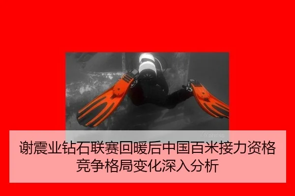 xie-zhen-ye-zuan-shi-lian-sai-hui-nuan-hou-zhong-guo-bai-mi-jie-li-zi-ge-jing-zheng-ge-ju-bian-hua-shen-ru-fen-xi-2-745.jpg