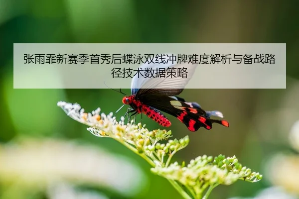张雨霏新赛季首秀后蝶泳双线冲牌难度解析与备战路径技术数据策略